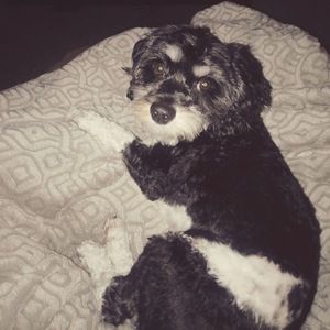 Meet your Posher, Wendy